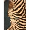 Image 2 : Zebra Hide - 108in Long - some damage