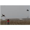 Image 4 : SOUTH DAKOTA PHEASANT HUNT | PHEASANT CITY LODGE
