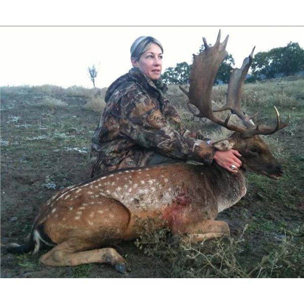 SAFARI INTERNATIONAL MACEDONIA