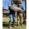 Image 5 : 6 DAY/5 NIGHT REMOTE ALASKAN SALMON FISHING TRIP
