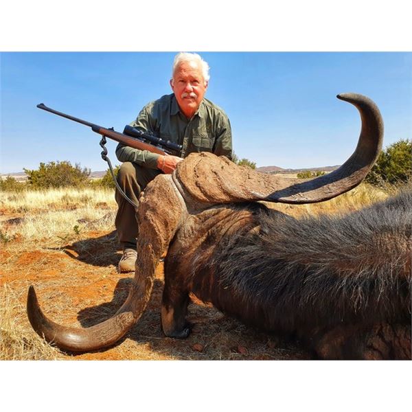 SOUTH AFRICA CAPE BUFFALO SAFARI