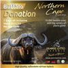 Image 3 : SOUTH AFRICA CAPE BUFFALO SAFARI
