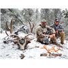 Image 1 : 7 DAY TROPHY MULE DEER HUNT | ARIZONA