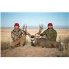 Image 5 : 7 DAY TROPHY MULE DEER HUNT | ARIZONA