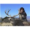 Image 6 : 7 DAY TROPHY MULE DEER HUNT | ARIZONA