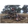 Image 1 : TROPHY WHITETAIL DEER | LAZY CK RANCH | HUNT TEXAS