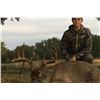 Image 2 : TROPHY WHITETAIL DEER | LAZY CK RANCH | HUNT TEXAS