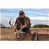 Image 3 : TROPHY WHITETAIL DEER | LAZY CK RANCH | HUNT TEXAS