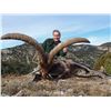 Image 3 : SPAIN: 3 DAY/4 NIGHT BECEITE IBEX HUNT