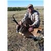 Image 1 : 5 DAY ARCHERY PRONGHORN HUNT