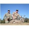 Image 3 : COUES DEER HUNT IN SONORA MEXICO