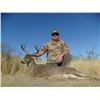 Image 4 : COUES DEER HUNT IN SONORA MEXICO