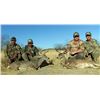 Image 5 : COUES DEER HUNT IN SONORA MEXICO