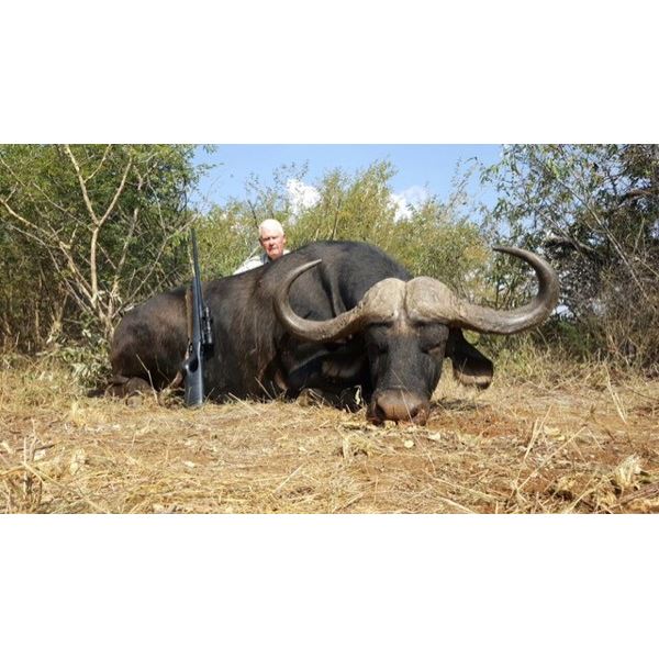 WILD WILDEBEEST SAFARIS, SOUTH AFRICA