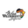 Image 2 : WILD WILDEBEEST SAFARIS, SOUTH AFRICA