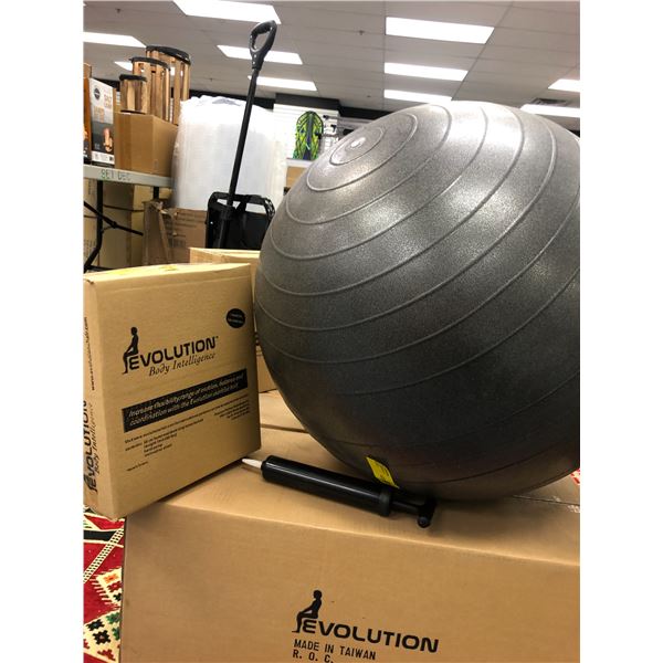 Two - EVOLUTION Charcoal Balance/Exercise Balls with hand pump