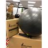 Image 1 : Two - EVOLUTION Charcoal Balance/Exercise Balls with hand pump