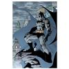 Image 1 : Batman #208 by DC Comics