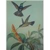 Image 2 : J GOULD Violet Crested Hummingbird Handcolored Print: