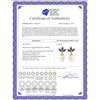 Image 2 : Genuine 9.5 ctw Tanzanite & Pearl Earrings 14KT Yellow Gold - REF-43V4W