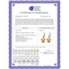 Image 2 : Genuine 1.24 ctw Citrine Earrings 14KT White Gold - REF-38K2V
