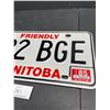 Image 2 : 1984 - 1985 Friendly Manitoba License Nice Colors