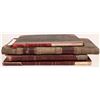 Image 2 : Butte Account Books; 1895-961899-1900, 1908, 1915-22  [145929]