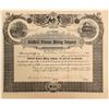 Image 1 : Goldfield Princess Mining Company Stock Certificate  [130837]