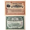 Image 1 : Nevada Vignette Stock Pair Includes Rare Turtle!  [145666]