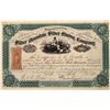 Image 1 : Silver Mountain Silver Mining Company Stock Certificate  [134538]