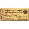 Image 1 : Ruby Hill Tunnel & Mining Stock signed by Gov. Jones  [130957]