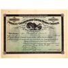 Image 1 : Whalen Cons. Copper MC Stock, Named for man who died in San Quentin  [130958]