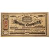 Image 1 : Central Park Mining Company Stock  [130775]