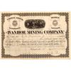 Image 1 : Ivanhoe Mining Company Stock Certificate  [130654]