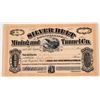 Image 1 : Silver Belt Consolidated Mining and Tunnel Co., stock, 1874  [130639]