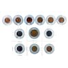 Image 2 : Encased Penny Collection  [143300]