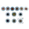 Image 3 : Encased Penny Collection  [143300]