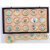 Image 1 : Turquoise Cabochons - 21   [145349]