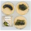 Image 1 : Tektites, Star Sapphires, Scheelite, Garnets & More  [145347]