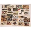Image 1 : Miner's Burro, Donkey, Mule Post Card Collection (100)  [143813]