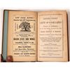 Image 1 : Oakland and Alameda City Directory; 1874  [145931]