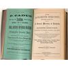 Image 1 : 1874 Sacramento, California Pacific R.R. Directory  [145149]