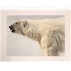 Image 1 : Polar Bear Profile, Signed Print by Bateman  [145775]