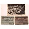 Image 1 : McCloud River Railroad Company Annual Pass Pair  [134925]