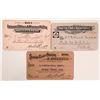 Image 1 : Three Different Sioux City Railroad Passes  [134578]