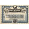 Image 1 : Buffalo and Lake Erie Traction Company Stock, 1909  [130659]