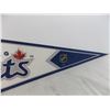 Image 5 : Winnipeg Jets Pennant + Hat