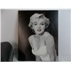 Image 2 : Samsonite luggage + Marilyn Monroe wall hanger