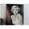 Image 5 : Samsonite luggage + Marilyn Monroe wall hanger