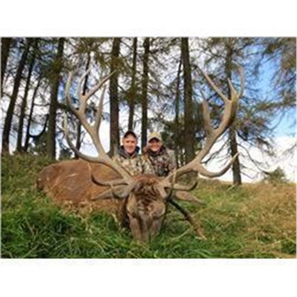 Scotland Red Stag Hunt